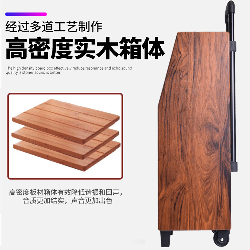 先科(SAST)广场舞音响 户外移动拉杆音箱带显示屏 便携式一体机 大功率WiFi触摸屏视频播放器KTV点歌机带麦克风
