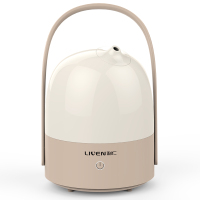 利仁(Liven)加湿器JSQ-300 3.0L大容量 雾化无积水 超声波静音 办公香薰机加湿机 按键操作