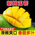 【西沛生鲜】正宗越南玉芒 净重4.5斤 单果300g+ 青皮特级大芒果金煌芒爆甜新鲜应季水果热带