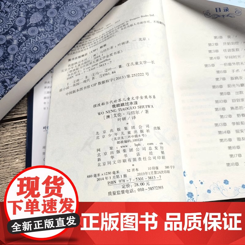 我能跳过水洼正版 艾伦马绍尔著8-12岁儿童成长励志小说摆渡船当代世界儿童文学金奖小学生课外阅读书籍五六年级上册必读课外高清大图