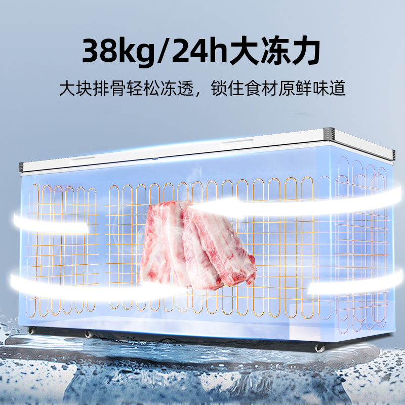 (冰洗)星星(XINGX)500升 商用冰柜冷藏保鲜强劲冷冻超市便利店大容量家商两用单温冷柜 BD/BC-500R高清大图