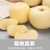 桔缘烟台苹果小苹果富士奶油富士苹果4.5斤13-15个左右迷离小果脆甜