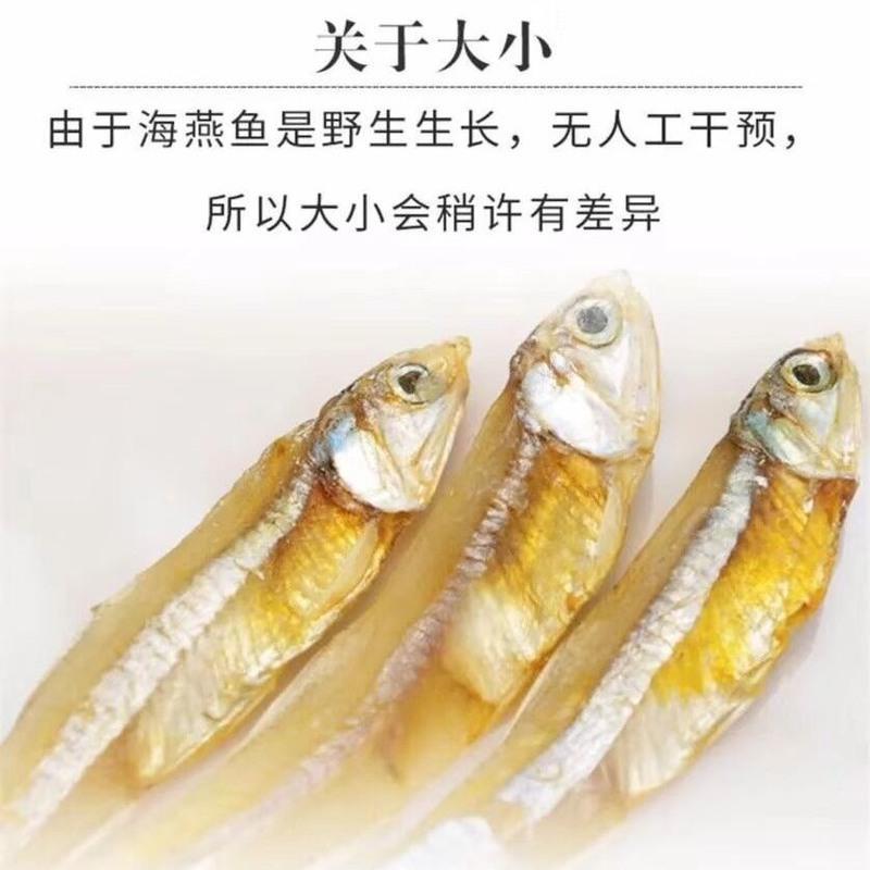 渔民自晒小公鱼500克海鲜干货小鱼干海燕鱼小鱼仔咸鱼干250克 1000克(两斤)