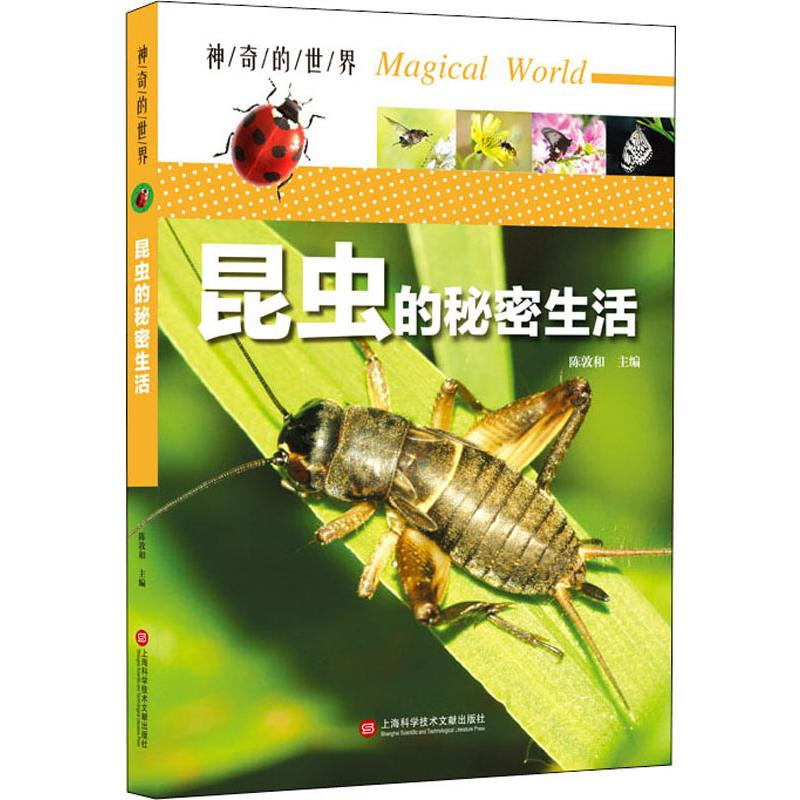 【M】昆虫的秘密生活-9787543978928