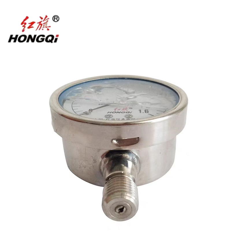 红旗 不锈钢耐震压力表定制检测款Y60BF(备注压力值)块高清大图