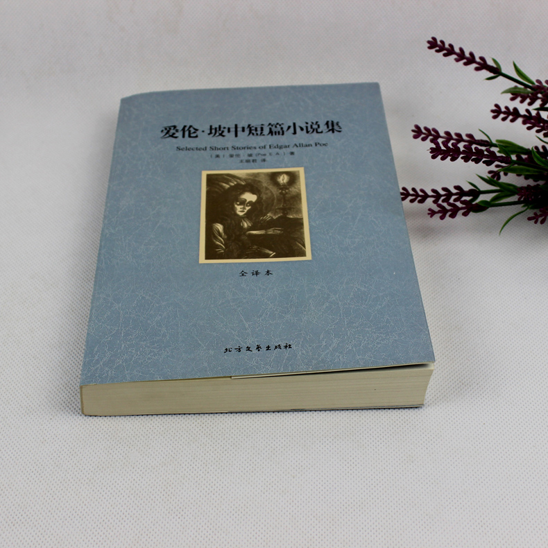 [正版]爱伦·坡中短篇小说集 全译本无删节 完整中文版 恐怖小说 ( 爱伦坡全集小说 恐怖小说 书 惊悚恐怖小说高清大图