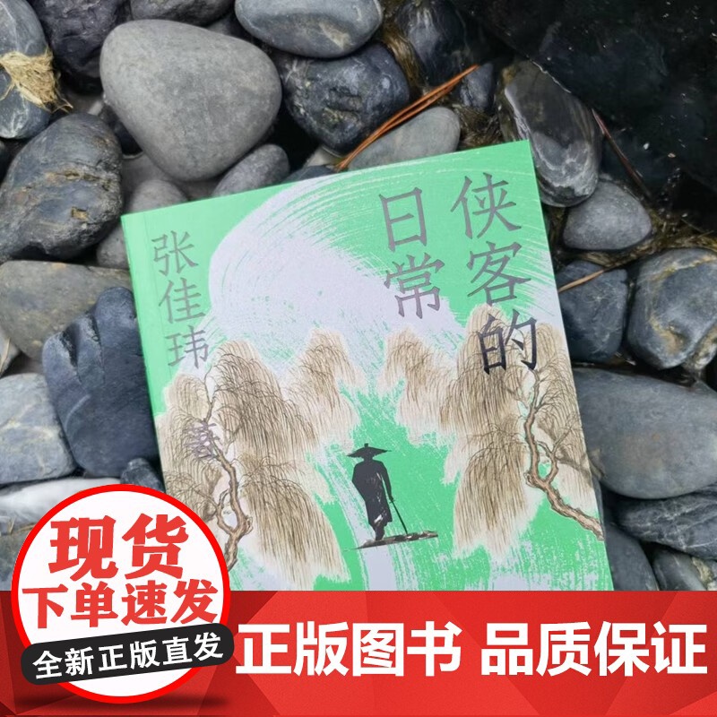 侠客的日常 张佳玮 著 文化高清大图