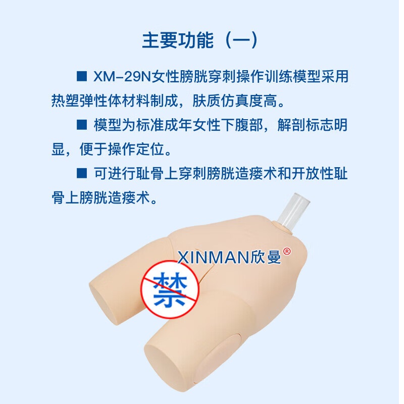 欣曼科教 女性膀胱穿刺操作训练模型 女性导尿模型XM-29N高清大图