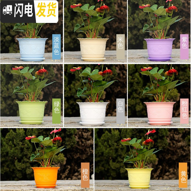 三维工匠波浪花边莲花盆塑料树脂仿陶型大花盆多肉绿萝花盆可水培送托盘 橙色[开孔留言] 特大号[口径27cm]5个花盆容器