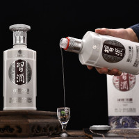 [中华特色]贵州馆 银质习酒酱香型53度500ml*1国产白酒年货礼盒粮食酒 西南