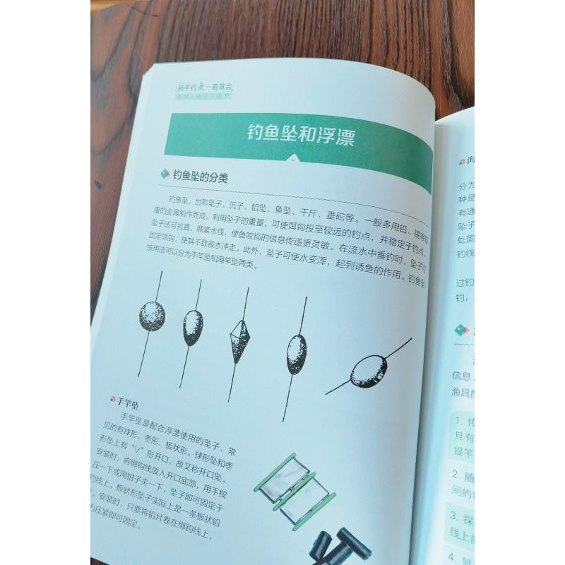 正版新书]新手钓鱼一看就会:做饵·选位·挑竿蒋青海9787557891046高清大图