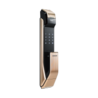 三星（SAMSUNG）指纹锁家用防盗门智能密码锁自动上锁SHS-P718 香槟金