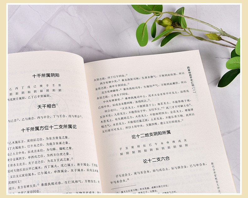 渊海子平大全 四库存目子平汇刊1 命学经典著作 阴阳五行 四柱学 八字书籍 易经 书籍高清大图