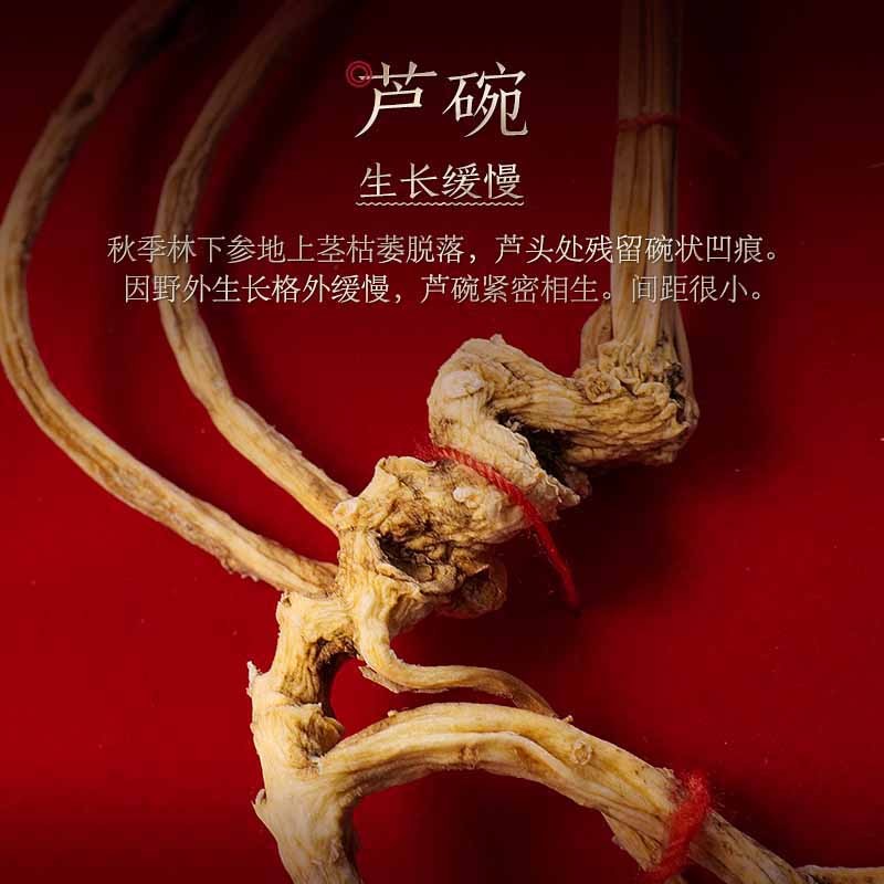 长白山人参干货礼盒野山参A1约15年补气补脾益肺生津野山参7g*1盒