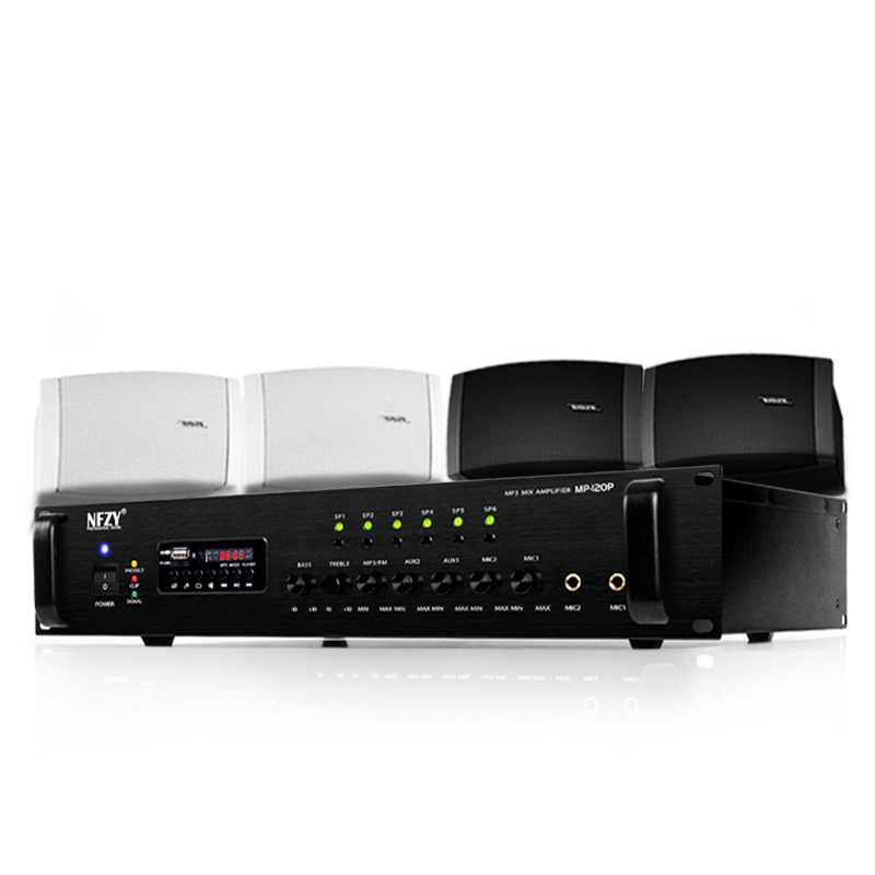 BOSE博士DS16s音箱6只+功放 定压定阻壁挂会议音箱背景音乐分区功放套装
