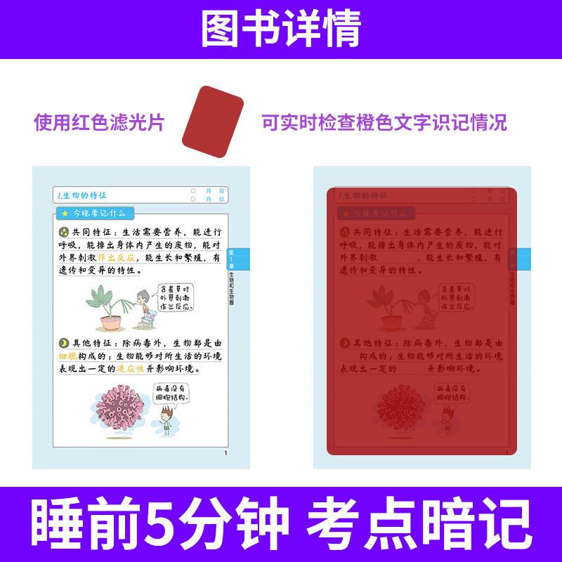 化学 初中通用 [正版]2024版 睡前五分钟考点暗记初中通用版 小四门必背知识点 七年级八年级九年级上下册人教版 考点