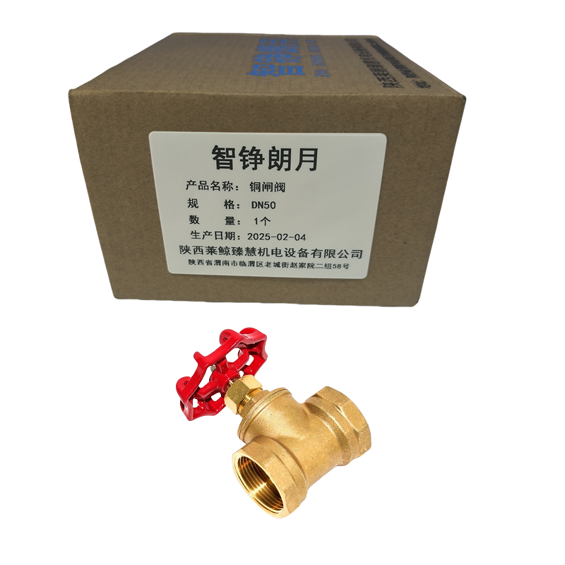 智铮朗月 铜闸阀 DN50 个高清大图