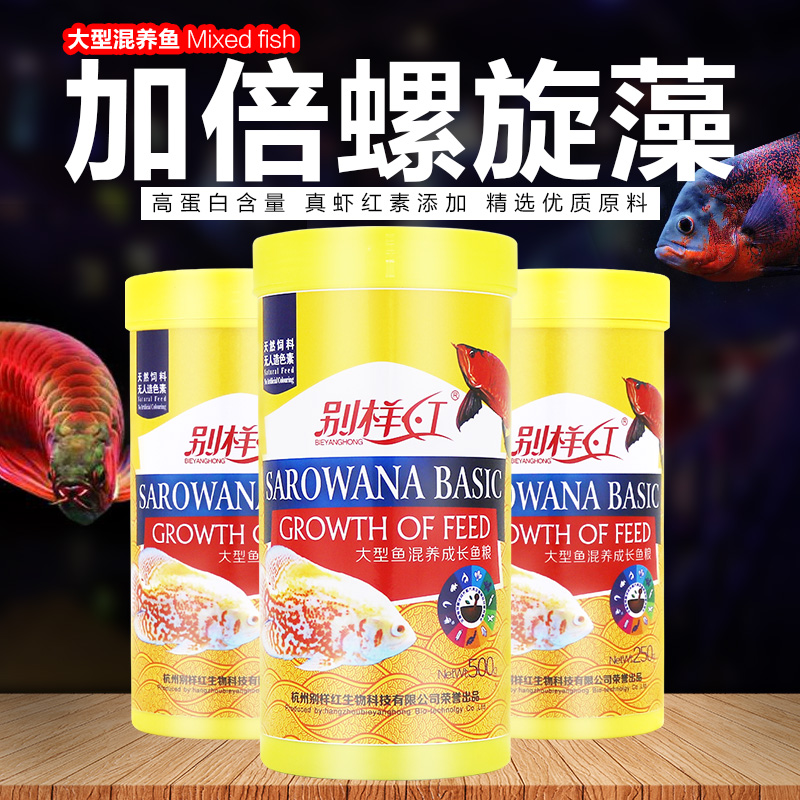 地图鱼罗汉鱼食银龙鱼饲料大型鱼混养血鹦鹉鱼发财鱼元宝鱼鱼高清大图