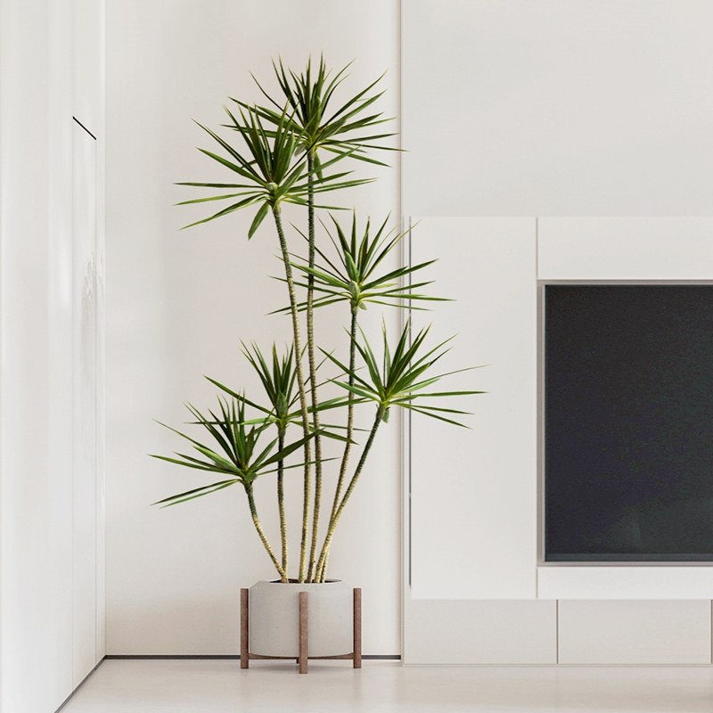 轻奢绿植龙舌兰假树植物盆栽弹痕室内客厅装饰家居落地盆景摆件