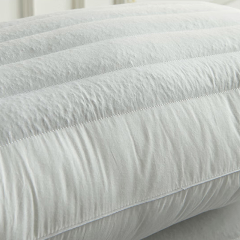 芳恩家纺FAUNEN 全棉荞麦羽丝枕48×74cm FN-R7012高清大图