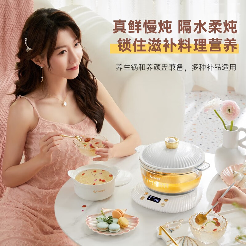 长帝(changdi)多功能锅电炖锅2L大容量 家用定时预约电炖锅隔水炖盅煲汤锅 掌上明珠RE25A