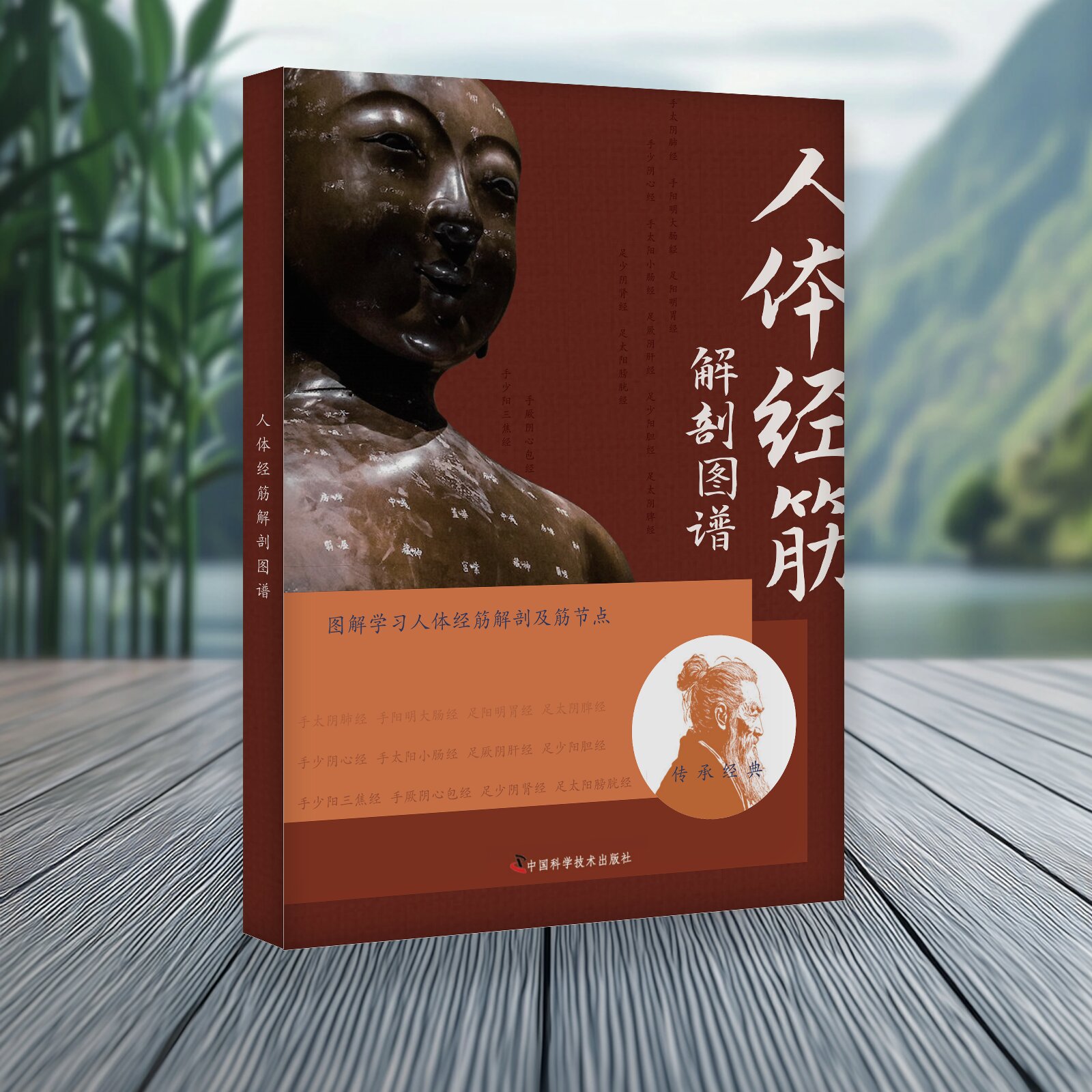 3册]人体经筋循行地图+人体经筋解剖图谱+点位九大绝技 [正版]正品人体经筋循行地图图解+人体经筋解剖图解学习人体十高清大图