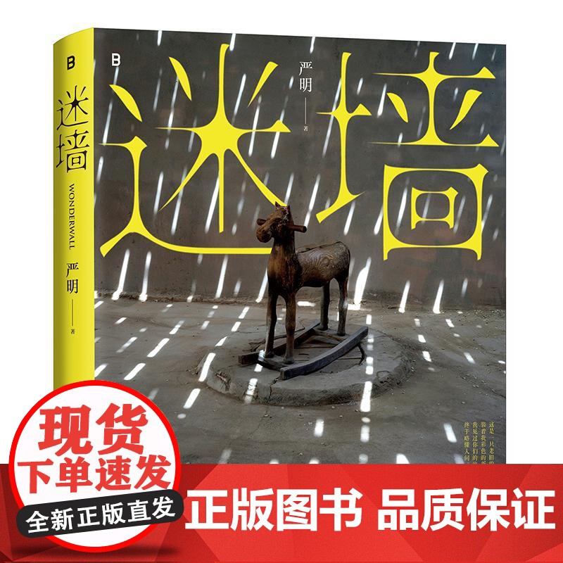 迷墙 严明 著 摄影艺术 侯登科奖得主严明摄影作品集 对生活艺术与自我认知的持续对话 正版图书籍 广西师范大学出版社高清大图