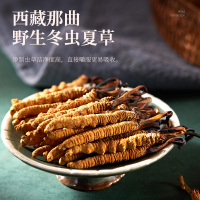 雪神 冬虫夏草专柜正品高档红木礼盒包装 西藏那曲头期短把子野生净制虫草1根1瓶装 多倍吸收