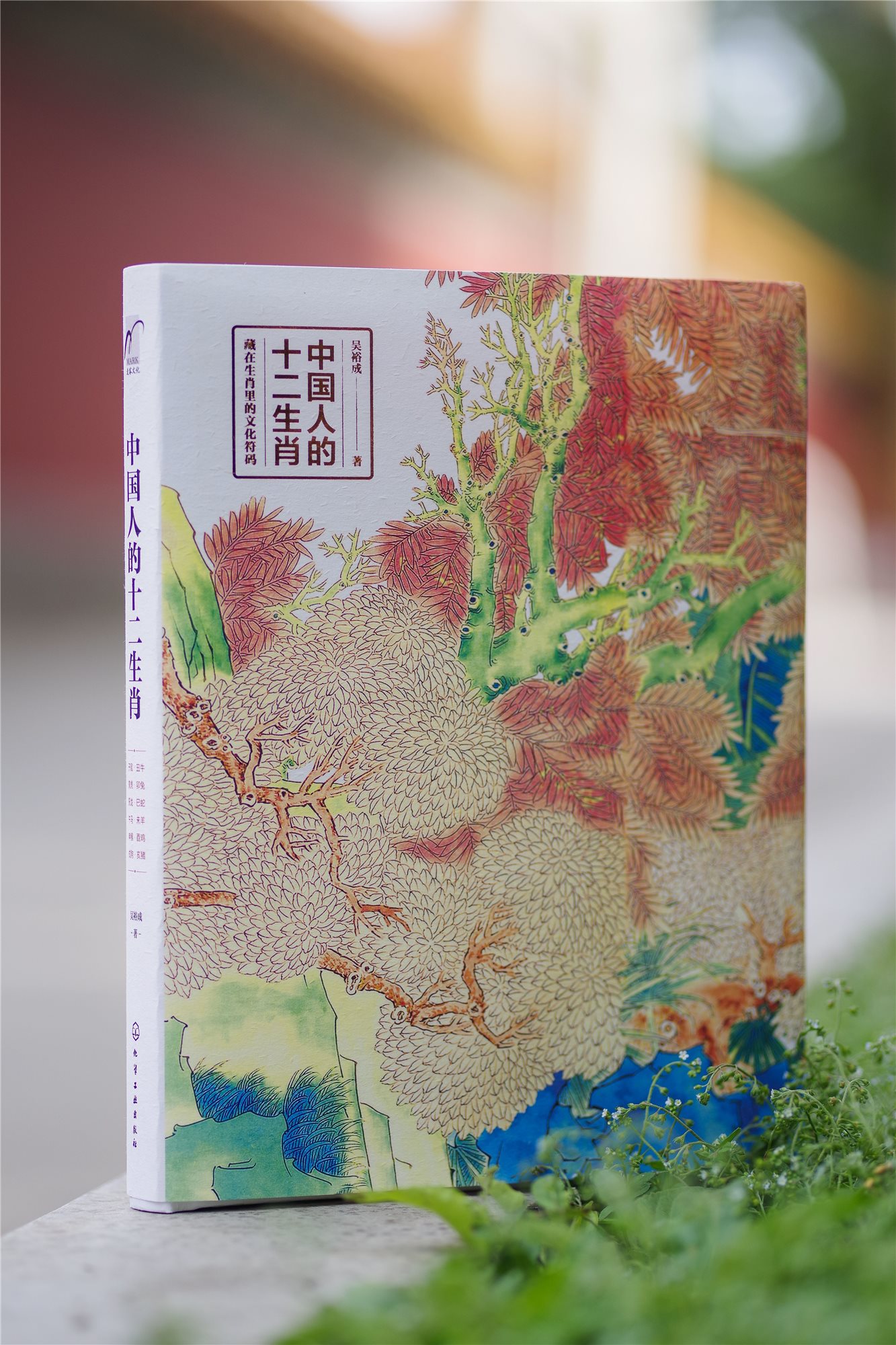[正版] 中国人的十二生肖 中国传统文化十二生肖民间传说由来历史传说生肖故事民俗习惯属相中华文化经典中国风绘中国特文高清大图