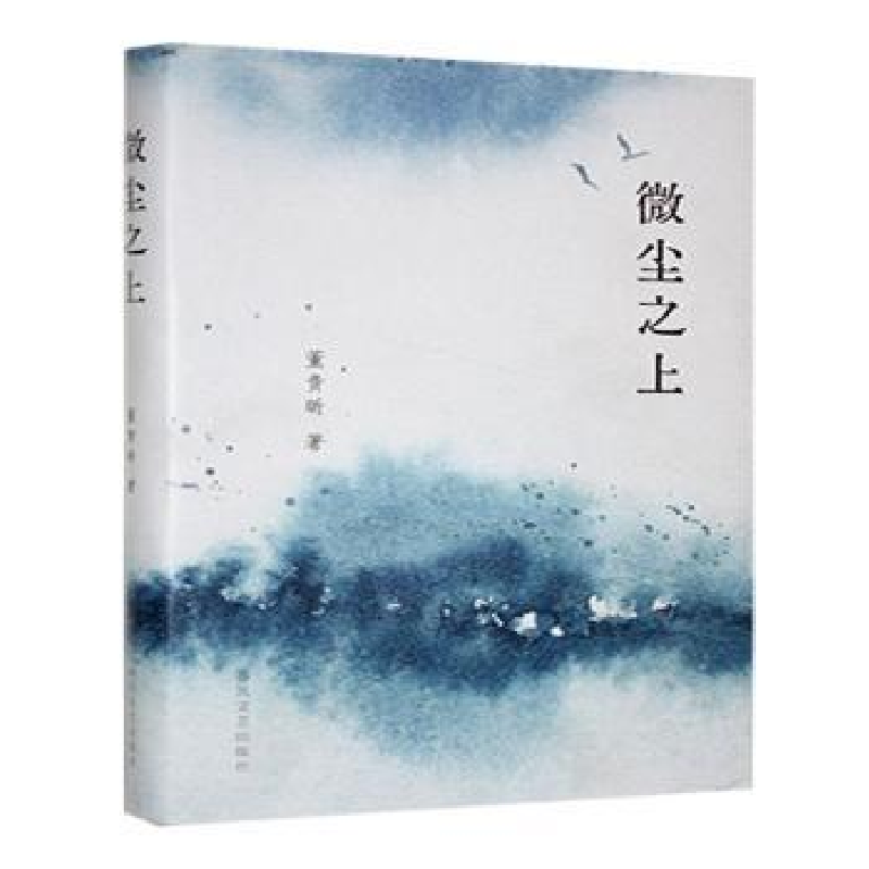 正版新书】微尘之上董贵昕著9787531368038