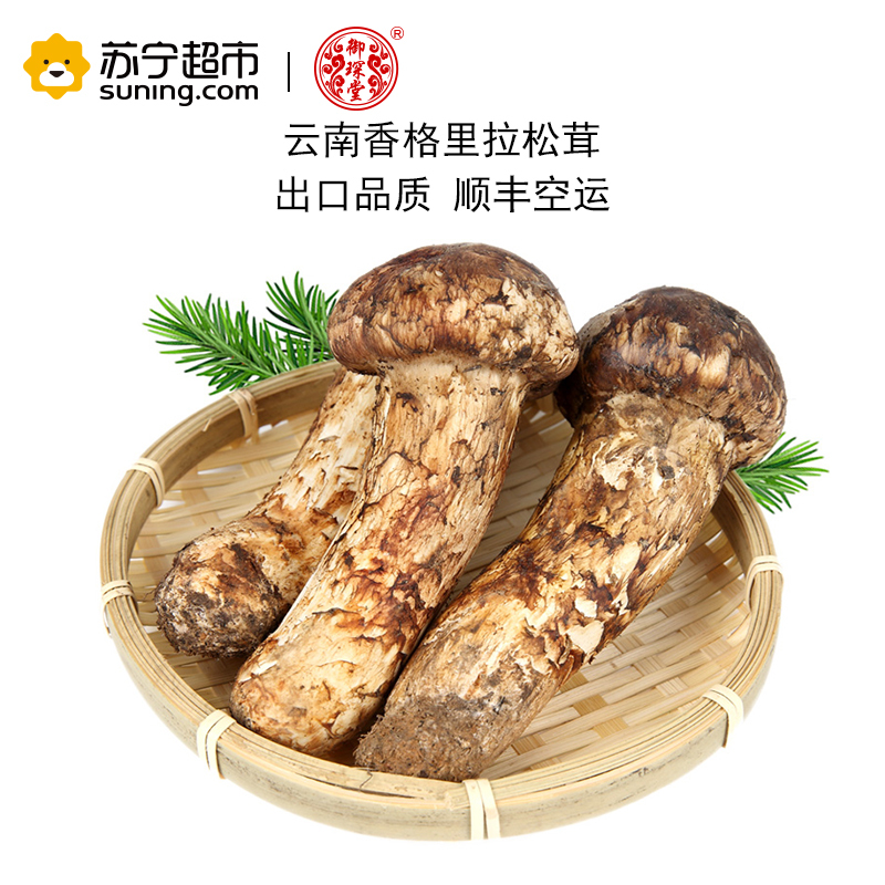 御琛堂 云南香格里拉新鲜松茸 5-7cm 500g 出口级松茸 新鲜采摘 顺丰冷链空运