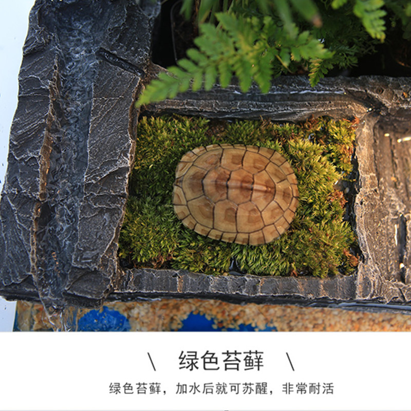 乌龟晒台爬台大号水龟缸造景浮岛爬坡巴西龟晒背台躲避洞穴晒龟台高清大图
