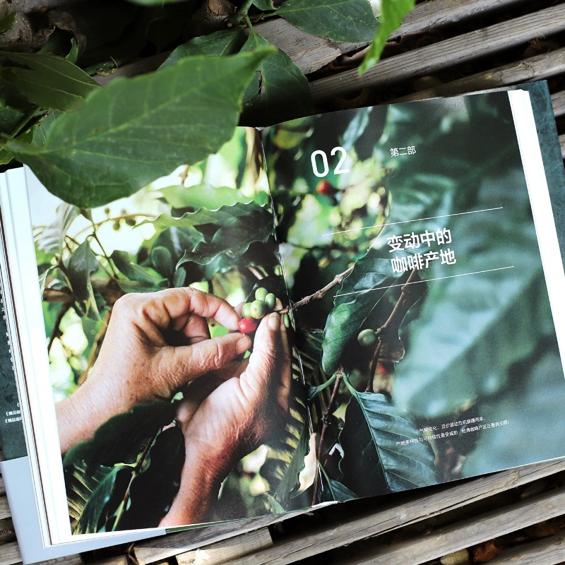 [正版]第四波精品咖啡学 韩怀宗著 华人咖啡教父 世界咖啡学作者韩怀宗 潜心五年打磨 咖啡爱好者与时俱进充电宝典 出版高清大图