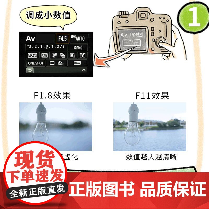 小白学摄影 一本再简单不过的摄影入门书拍照轻松学会摄影书籍 单反教程相机摄影教学手机从入门到精通零基础自学摄影书籍高清大图