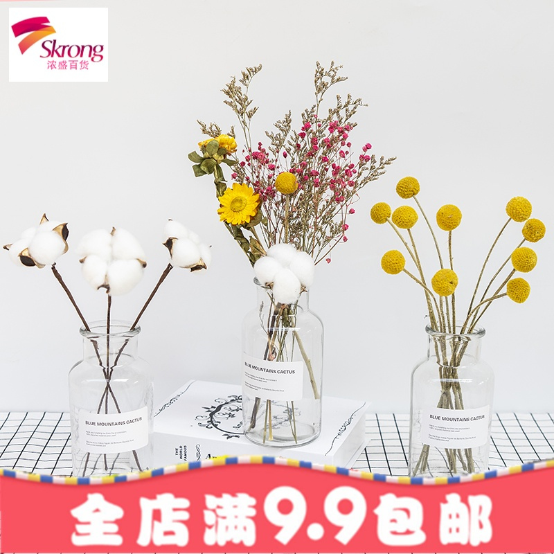ins风透明玻璃花瓶北欧创意清新欧式简约客厅干花插花摆件玻璃小