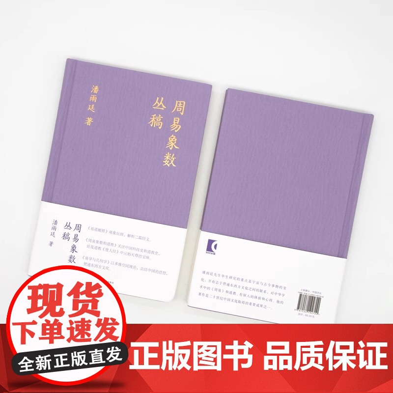 周易象数丛稿 潘雨廷著作集 张文江整理易道履错周易象数与道教易与几何学三书合一上海文艺出版社艺文志中国古典传统文化重要成高清大图