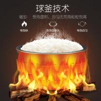 苏泊尔（SUPOR） 电压力锅家用3L升智能双胆高压锅小型电饭煲多功能 黑色2020年新品商超