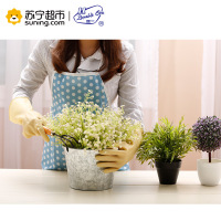 双一 牛筋家用手套S 洗碗洗衣防滑耐磨橡胶手套
