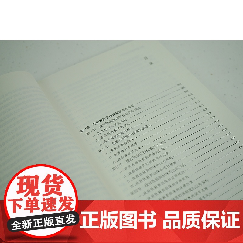 2023新书 政府性融资担保制度研究 唐弋夫著 法律出版社高清大图