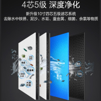 志高(CHIGO)净水器CG-RO-500G家用厨房厨下直饮机 反渗透 500加仑无桶[去垢去重金属 2:1低废水比]