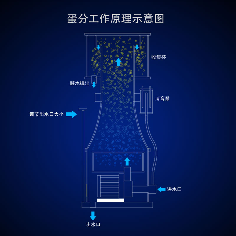 海水缸蛋分 海水缸蛋分白离器 防爆冲 6变频可调蛋分泵 蛋分器高清大图