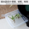 抽屉式移动托盘加厚树脂圆形万向轮塑料花盆底座底托接水盘底盘 咖啡190【3小轮 无刹车 内径16cm】
