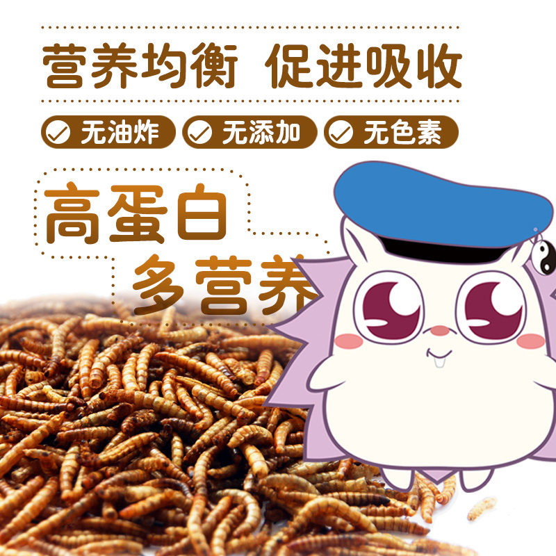仓鼠粮食刺猬面包虫干罐装粉虫粉八哥鸟食龟食营养高蛋白