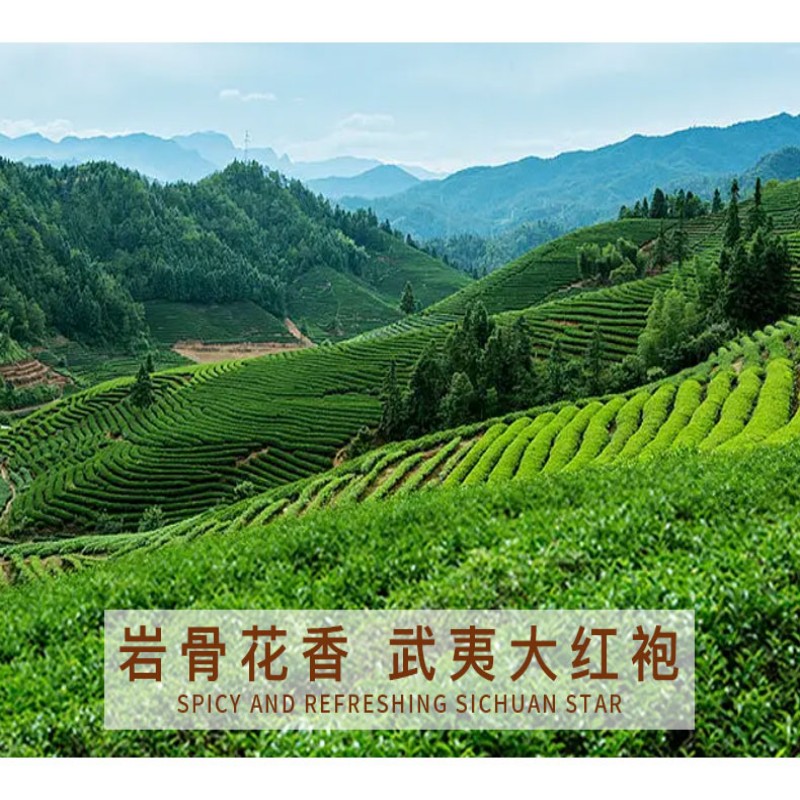 溪碧山大红袍1000g高清大图