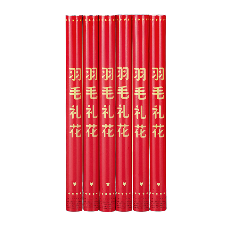 金丝莉 羽毛礼炮 JB-2509高清大图