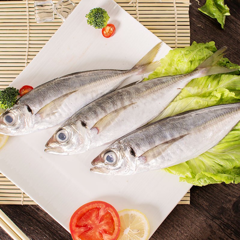 四海生鲜东山岛新鲜巴浪鱼34条500g海鲜水产鳀鱼现捕活冻巴浪鱼海鱼