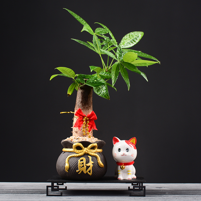 客厅电视柜办公桌面装饰玄关招财 紫砂黑描金财布袋-发财树(可爱猫)