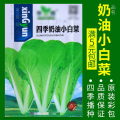蔬菜种子四季播盆栽阳台庭院辣椒番茄甜瓜黄瓜简单秋易种籽孑大全 均码 奶油小白菜约800粒