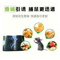 绿叶粘鼠板(20枚装)老鼠贴强力胶粘大老鼠加大捕抓鼠神家用器一窝实惠装端