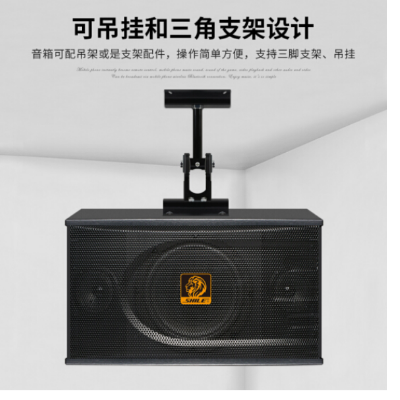 iDiskk 壁挂音箱BX-118 黑色